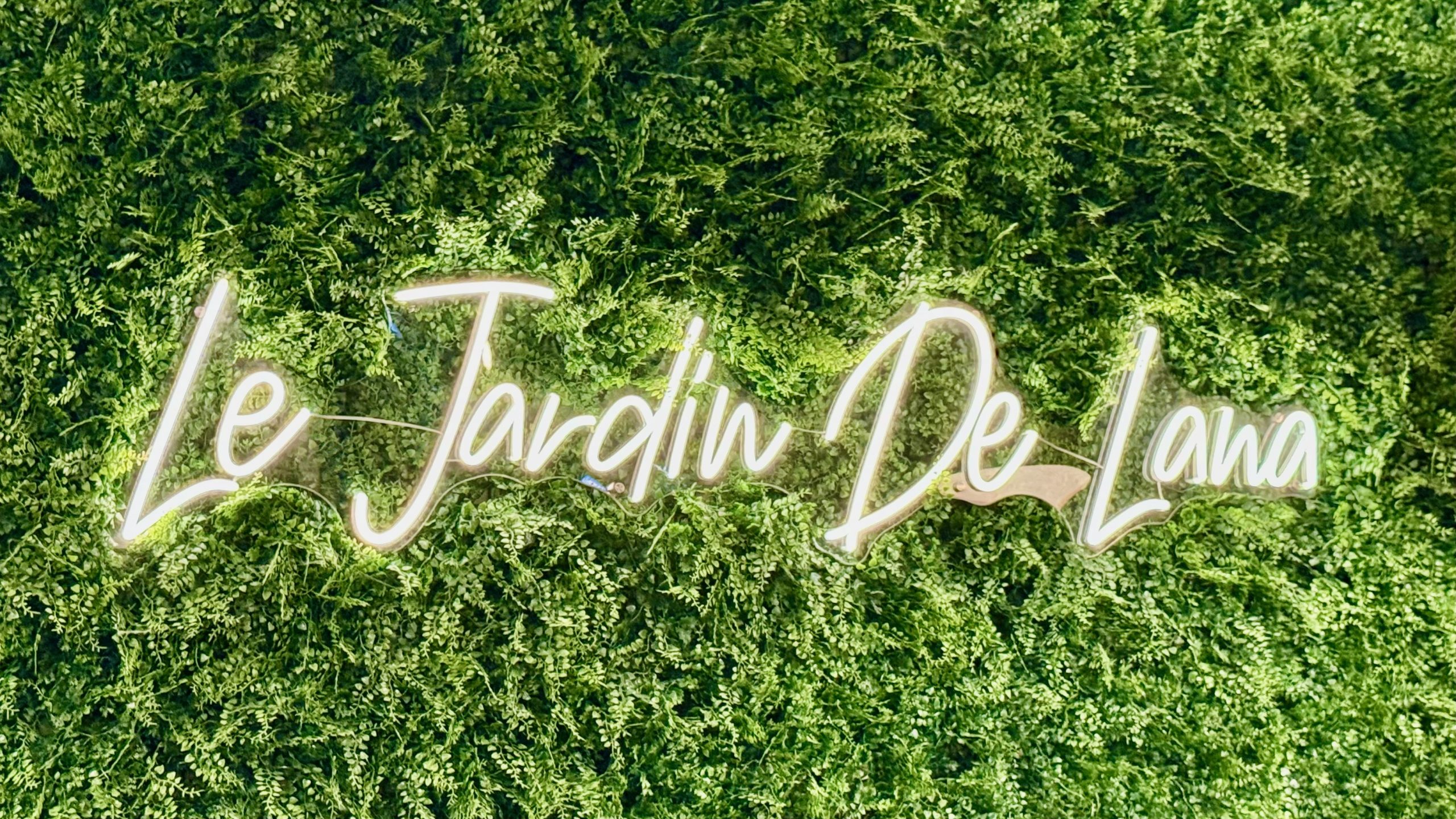 Karaoké au jardin de Lana  : 20/02/2026